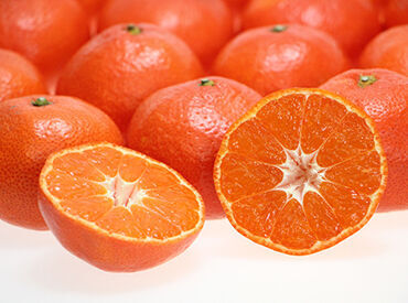 紹介元：JA香川県無料職業紹介所『アグリワーク』　（紹介先：高松市エリアの農家） ◆◆ 未経験さんも大歓迎 ◆◆
JA香川県が運営する
無料職業紹介所『アグリワーク』が
あなたのお仕事探しを応援します！