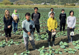 株式会社博農（はくのう） 未経験大歓迎！どなたでもチャレンジできるお仕事♪
野菜も規格外のものであれば持ち帰ってOKなので家計にも嬉しい◎