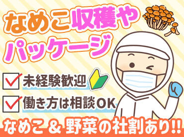 株式会社ベルッコ 「まずは話を聞いてみたい」という方も大歓迎です♪
お気軽にご相談くださいね◎