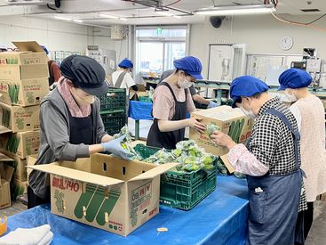 【接客なしのモクモク作業☆】
朝8:00~/土曜出勤可能な方積極採用中!
もちろん、その他の時間帯も◎
午前・午後だけでもOK