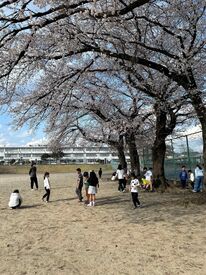 子どもが好きな方大歓迎！
主婦さんが多く活躍中です◎