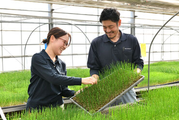 ハウス内でのお仕事をメインに、のびのび快適に作業できます！
立ったり座ったり、適度に身体を動かしながら働けます！