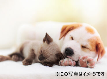 ＼社販あり！／
ペットを飼っている、飼いたいと思っている方必見◎
商品を割引価格で購入可能です♪