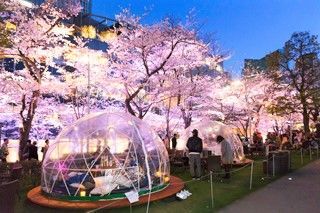 株式会社アスパイーエックス　※勤務地：MIDTOWN BLOSSOM LOUNGE アクセス抜群☆六本木駅すぐ！通勤ラクラク♪
高時給1450円なので短時間でもガッツリ稼げます☆
扶養内などもお気軽にご相談を◎