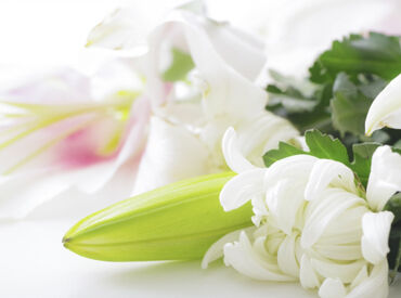 既存スタッフの応募理由も様々◎
家から近かった、シフトの融通がきくから…etc
子育て世代も、育児と両立して働ける環境です！