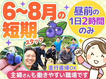 株式会社アースコム 「農作業は初めて」「久しぶりのお仕事復帰」という方も大丈夫！
チームで協力しながら進めるので、気軽に相談もできます◎