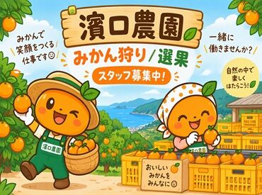 濱口農園　勤務地：荒尾市椛エリア (三井グリーンランド近く) 今年もこの季節がやってきた！
みかん農家のお手伝いしませんか？
"みかんバイト"でちょっとした収入＆いい思い出♪