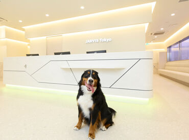 どうぶつが好きならそれだけで十分◎
どうぶつたちを裏で支えるお仕事です！