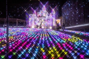 ＼冬の定番スポット！／
栃木が誇るイルミネーションで人気の足利フラワーパーク！観光に来たお客様や、お車の誘導をお任せ◎