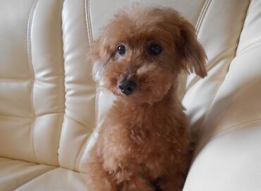 スキルに不安がある方もウェルカム◎
研修期間で基礎から学べます!