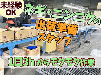 ＪＡ香川県 善通寺集荷場 「自分にできるかな…？」と不安な方は
仕事の確認やご相談だけでも大歓迎◎
お気軽にお問い合わせください！