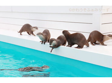 面談では難しい質問などはありません！
どんな働き方をしたいかなど、お聞きします！
人柄重視の採用です◎