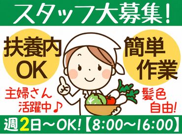 株式会社姫路農産流通センター　岡山支店 急なお休みに対応◎遠慮せずにご相談くださいね!!
≪男女問わず活躍中♪≫
特別なスキルは必要ありません！