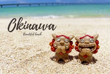 大型免許を持っている方必見！
沖縄でまったり働ける♪
移住希望の方も大歓迎！！