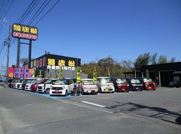 軽自動車専門店 オートネット 資格も経験も知識もないけど車が好き◎
応募理由はそれだけでOK♪
わからないことは何でも教えます！