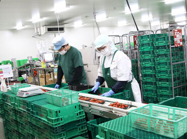 \日々の必需品もお得に♪/
バロー全店で使えるスタッフ特典◎
【ルビットカード支払いで、5%還元】
働きながら賢く節約★