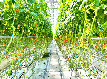 ご家庭両立も叶う職場♪短日数・短時間OKだから…私生活も充実！