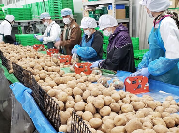バロー北陸青果センター 主婦(夫)・フリーターさん歓迎！
最初は先輩スタッフと一緒に進めていくので、
未経験の方でも安心して始められます◎