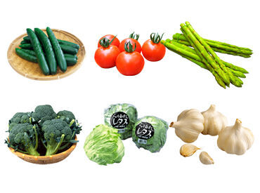 紹介元：JA香川県無料職業紹介所『アグリワーク』　（紹介先：高松市エリアの農家） ◆◆ 未経験さんも大歓迎 ◆◆
JA香川県が運営する
無料職業紹介所『アグリワーク』が
あなたのお仕事探しを応援します！