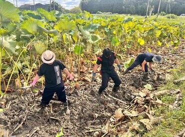 特定非営利活動法人とらいアンぐるにて社員募集！
無理なく長く続けられる環境を整えています♪