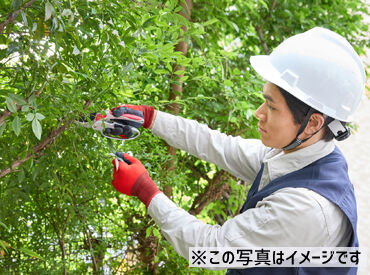 株式会社片倉キャロンサービス ※勤務地：立川市内の公園 緑に囲まれた国営公園で、
リフレッシュしながら働けるお仕事です！
木の陰での作業も多いため、涼しい時間も意外と多いですよ♪