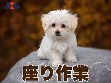 株式会社ホットスタッフ四日市　※勤務地 四日市市小牧町[250777880006] カンタンな作業からお任せ◎
未経験からスキルアップも目指せる！
「派遣は初めて！」「ちょっと心配…」
そんな方も大歓迎♪