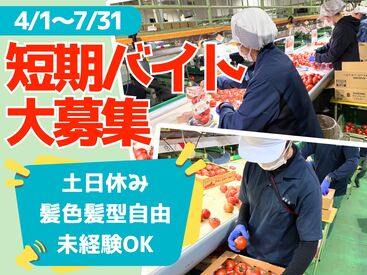 響灘菜園株式会社 ＼託児所あり／
敷地内に保育施設を完備しているので、
子育てをしながら働きたい方にもおすすめです♪