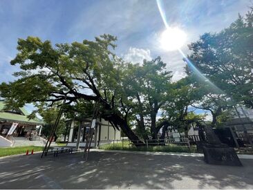 歴史ある神社でのおしごとですが、
職場にかたくるしい雰囲気はありません！