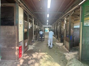 乗馬クラブ　クレインオリンピックパーク 自然に囲まれた乗馬クラブで、馬たちと一緒に働ける♪
未経験スタート歓迎！
しっかりとサポートしますのでご安心ください◎