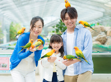 たくさんの笑顔に囲まれて働けて、やりがい抜群なお仕事◎
「鳥が好き」「育児が落ち着いたから」 など応募理由は何でもOK！