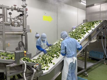 無線LAN完備の綺麗な休憩室あり♪
お弁当を食べたり、ゲームをしたり…
各々自由に過ごしています◎