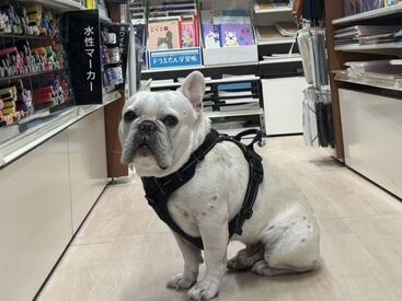 アルファノート ≪販売接客が初めての方も大歓迎≫
優しく気さくなスタッフばかりで
相談しやすい雰囲気が魅力♪
定着率が良い職場です*