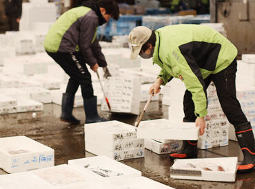 徳島魚市場株式会社 「早起きは得意」「家事や用事の前に働きたい」そんな方にピッタリ♪
週2日～OKでシフトは柔軟対応します◎