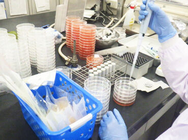 株式会社ファーストフーズ　八王子工場 業務を網羅しているマニュアルも完備！
「安全性」が最優先なので、
じっくりモクモク作業したい方におススメです◎