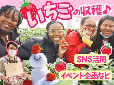 オンライン面談OK＆
現場見学時の交通費を負担します◎

地域活性化に興味がある方や
イベント開催に携わってみたい方はぜひ！