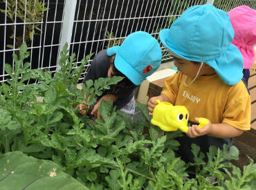≪こどもたちとの食育活動あり!≫
たくさんの笑顔に囲まれながら
食の大切さを楽しく学ぶサポートをすることも★