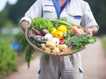 紹介元：JA香川県無料職業紹介所『アグリワーク』　（紹介先：坂出市エリアの農家） ◆◆ 未経験さんも大歓迎 ◆◆
JA香川県が運営する
無料職業紹介所『アグリワーク』が
あなたのお仕事探しを応援します！