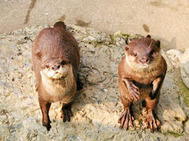 お仕事は、あなたの希望に合わせて決定します◎
