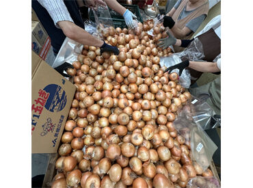 合同会社VEGETABLE　※2026年9月21日オープン　 主婦・主夫さんやフリーターさん大歓迎★
オシャレも自由なので、あなたらしさを維持しながら働けます！