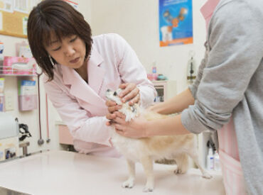 マリア動物病院 ≪尾張旭の地域密着動物病院≫
経験や知識はいりません！
動物好きさんは必見です！