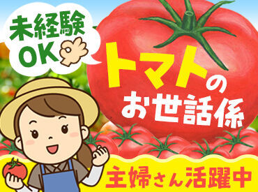 扶養内勤務も可能なので、相談してくださいね◎