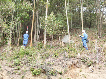 ≪調査・測量する現場は、山が多いです◎≫
自然が好きな方、アウトドアが好きな方、身体を動かすのが好きな方にオススメです！