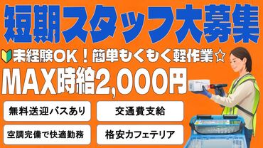 未経験からスタートしたスタッフも大勢活躍中！