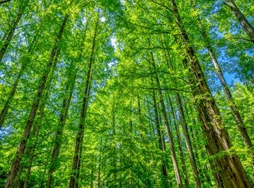 家具家電付き住居があるから、住み込みでも安心してスタートできます！仲間と協力しながら作業できる職場です★