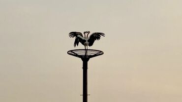 インセンティブあり！
昇給チャンスも◎
社用車貸出・交通費支給・服装自由など待遇も充実しています★