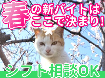 株式会社パニパニワーク　※勤務地:那覇市久茂地 4/29～5/10までの期間限定ワーク♪
未経験・ブランクのある方も大歓迎！
『短期間で稼ぎたい！』そんな方にぴったり★