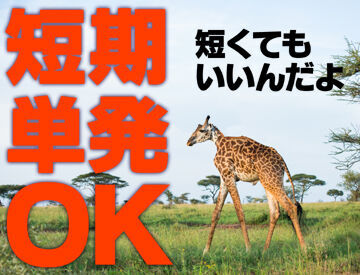 テイケイネクスト株式会社　柏支店/TN170S0303MB12 働き方は自由自在☆
短期・単発・1日～長期も歓迎！
最短翌日から勤務OK！
