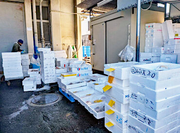 広栄水産株式会社 普通自動車免許があればスタート可能！AT限定でもOK！
未経験の方でも大歓迎！ぜひ気軽にご応募ください◎