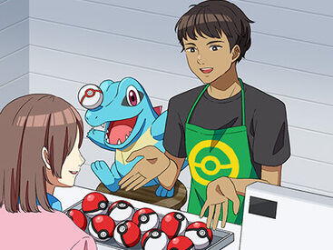 ポケパーク カントー/202 仲間やポケモンと一緒に
この街の一員として世界中のポケモントレーナーたちをお出迎えしましょう！