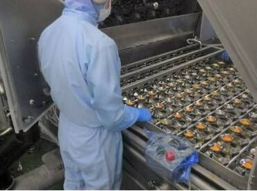 「久しぶりの仕事復帰で不安…」という方も
丁寧な研修からスタートしますのでご安心を◎
ベテランスタッフがしっかりサポート！